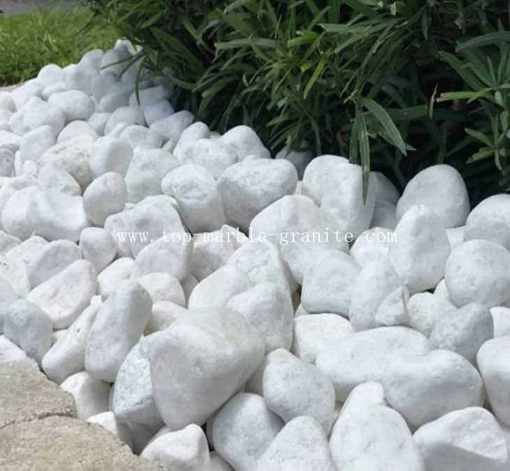 White Cobblestone Rock