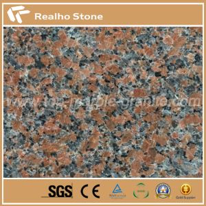 Maple Leaf Red G562 granit tosh plitkalari